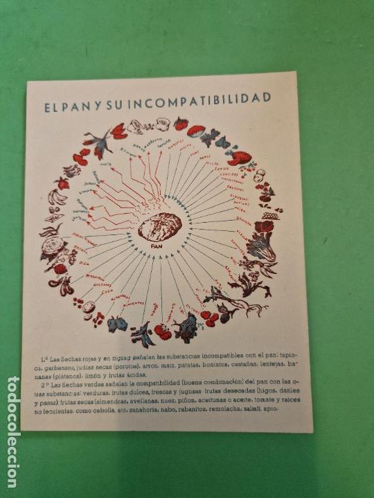 Paper Collecting Others: TARJETA POSTAL. EL PAN Y SU INCOMPATIBILIDAD