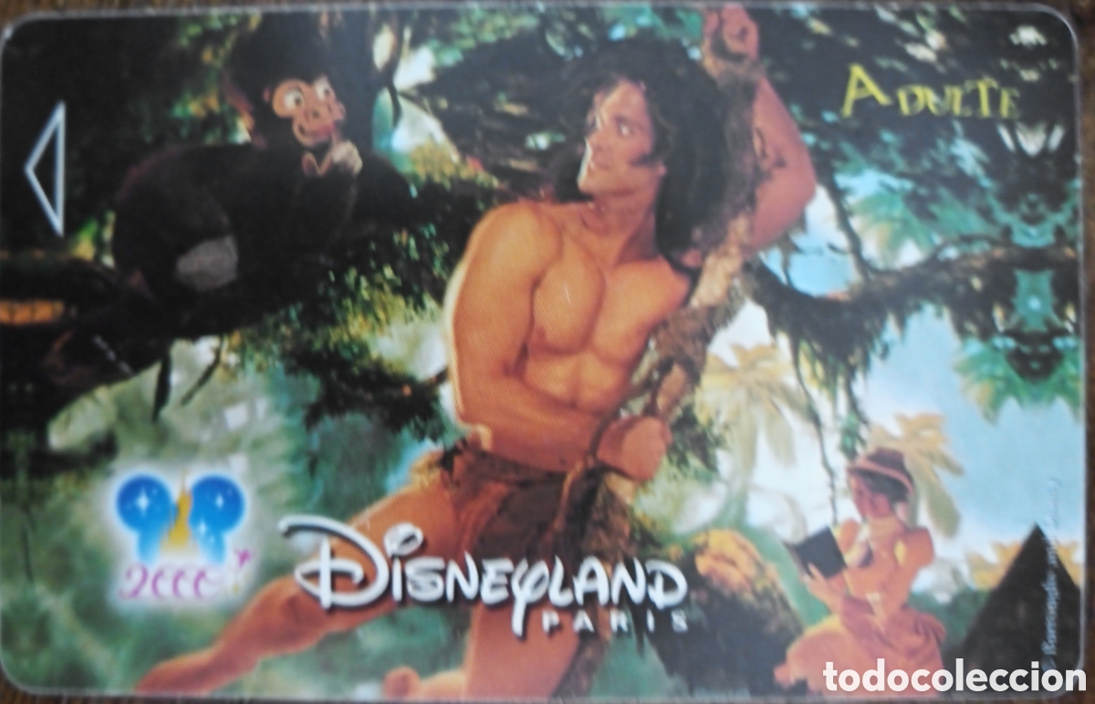 Collectionnisme Papier divers: ENTRADA DISNEYLAND PARIS