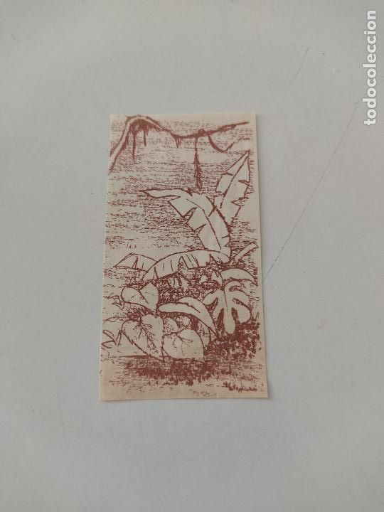 Otros Art&iacute;culos de Coleccionismo en Papel: RECORTE DE PAPEL DEL ALBUM DE CROMO DEL LIBRO DE LA SELVA MIDE 8,5CM X 4,5CM