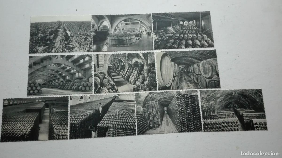 Otros art&iacute;culos de coleccionismo en papel: COLECCION POSTALES CODORNIU - Foto 1