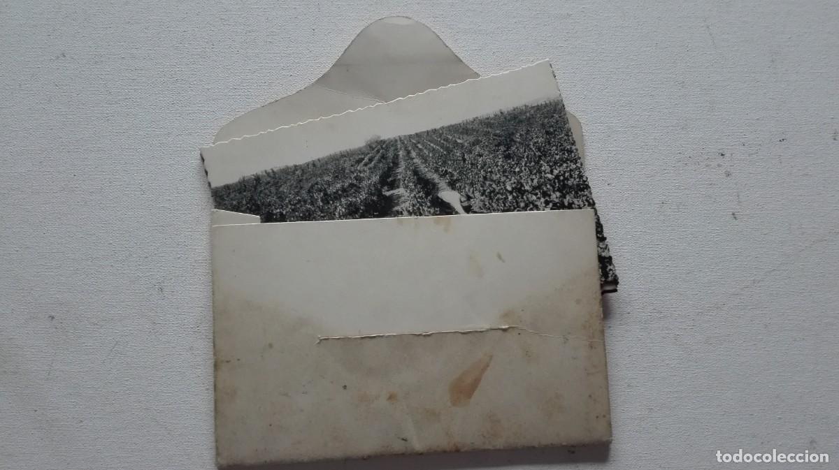 Otros art&iacute;culos de coleccionismo en papel: COLECCION POSTALES CODORNIU - Foto 4