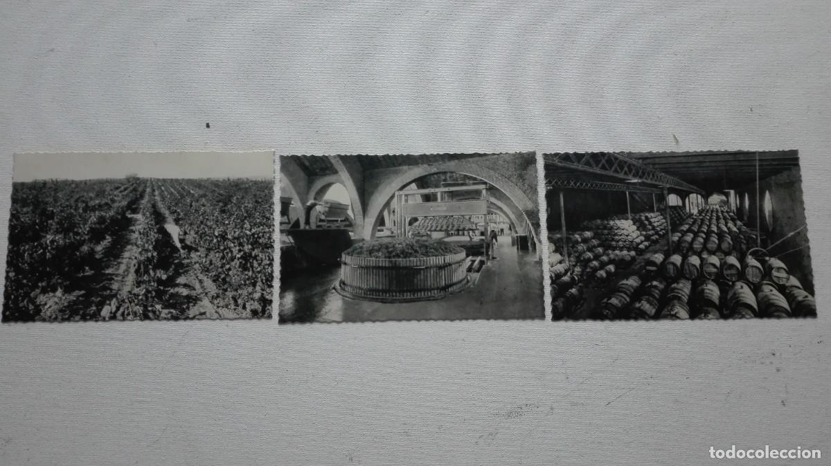 Otros art&iacute;culos de coleccionismo en papel: COLECCION POSTALES CODORNIU - Foto 6