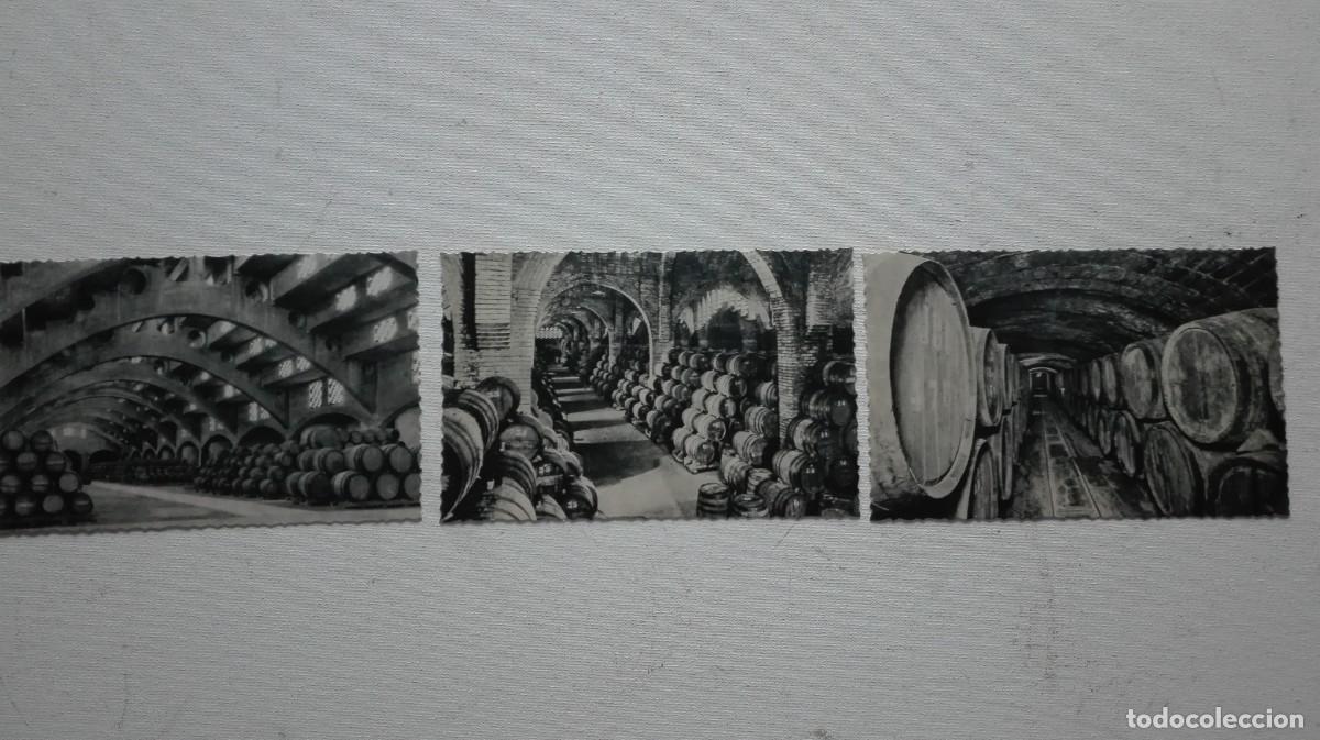 Otros art&iacute;culos de coleccionismo en papel: COLECCION POSTALES CODORNIU - Foto 7