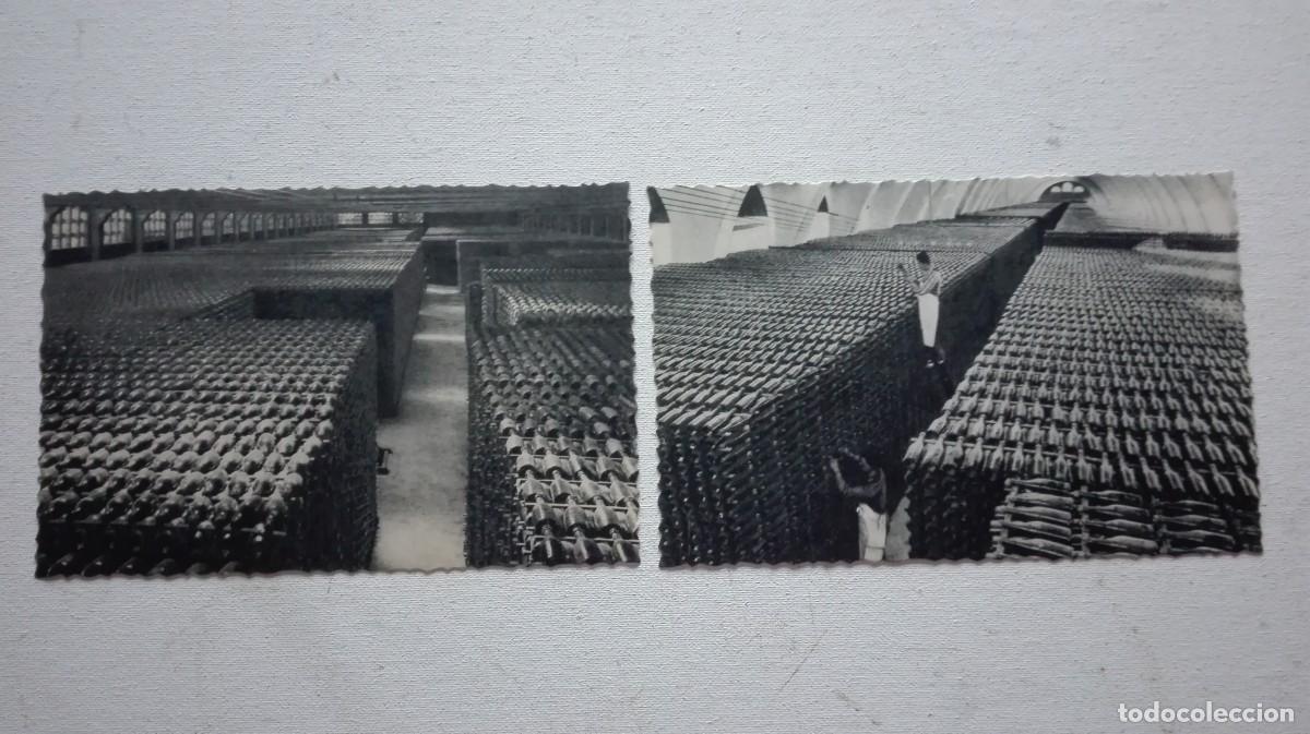 Otros art&iacute;culos de coleccionismo en papel: COLECCION POSTALES CODORNIU - Foto 8