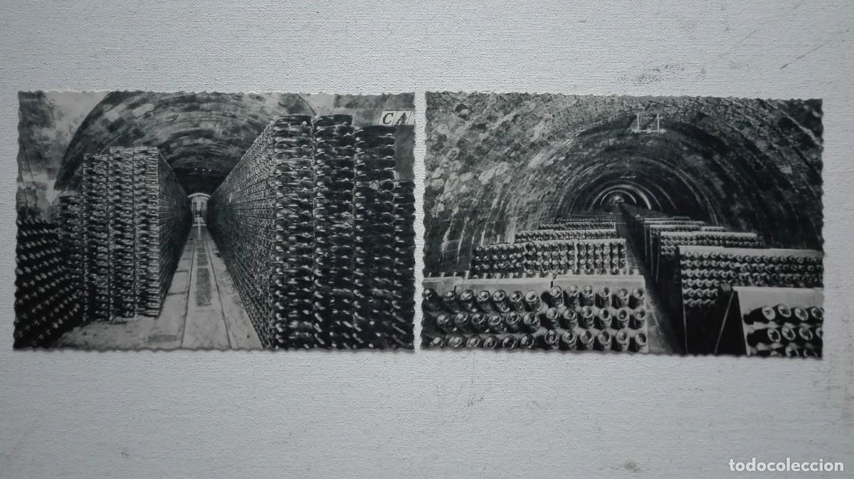 Otros art&iacute;culos de coleccionismo en papel: COLECCION POSTALES CODORNIU - Foto 9