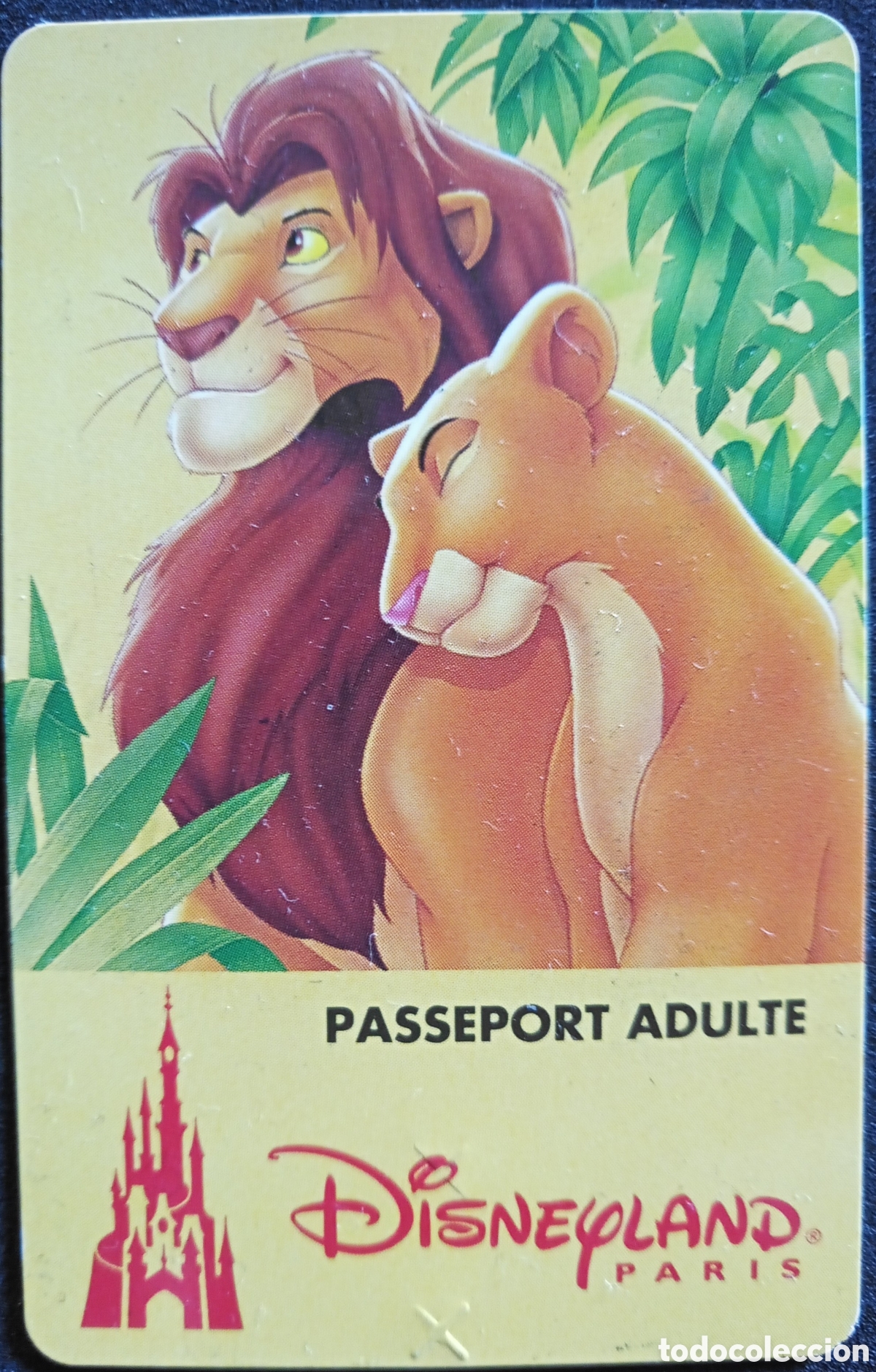 Collectionnisme Papier divers: ENTRADA DISNEY PARIS