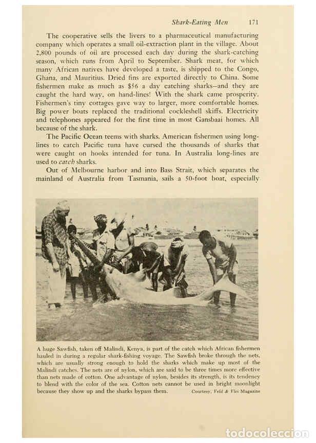 Otros Art&iacute;culos de Coleccionismo en Papel: Reproducci&oacute;n/Reproduction 6001733644: Shadows in the sea Philadelphia,Chilton Books[1963]