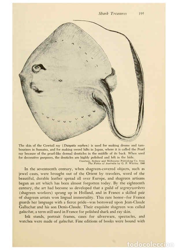 Otros Art&iacute;culos de Coleccionismo en Papel: Reproducci&oacute;n/Reproduction 6001734442: Shadows in the sea Philadelphia,Chilton Books[1963]