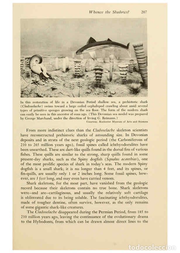 Otros Art&iacute;culos de Coleccionismo en Papel: Reproducci&oacute;n/Reproduction 6001186473: Shadows in the sea Philadelphia,Chilton Books[1963]