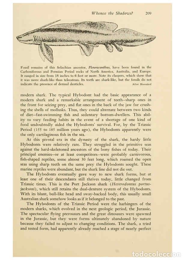 Otros Art&iacute;culos de Coleccionismo en Papel: Reproducci&oacute;n/Reproduction 6001186869: Shadows in the sea Philadelphia,Chilton Books[1963]