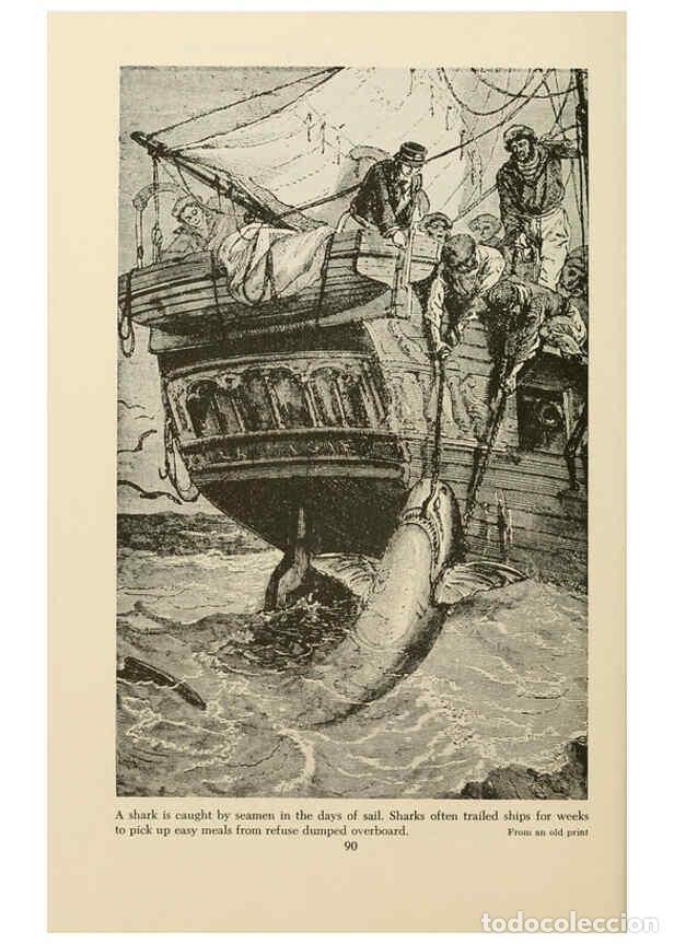 Otros Art&iacute;culos de Coleccionismo en Papel: Reproducci&oacute;n/Reproduction 6001730650: Shadows in the sea Philadelphia,Chilton Books[1963]