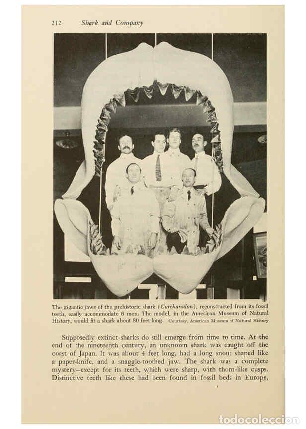 Otros Art&iacute;culos de Coleccionismo en Papel: Reproducci&oacute;n/Reproduction 6001735512: Shadows in the sea Philadelphia,Chilton Books[1963]