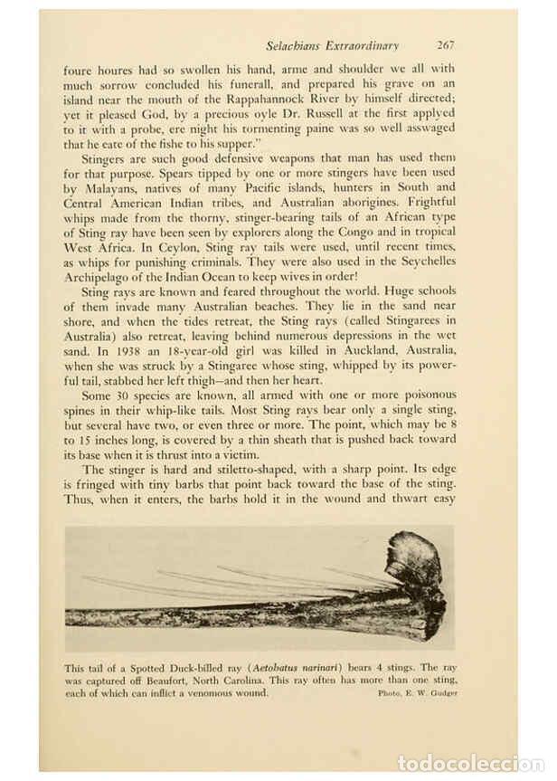 Otros Art&iacute;culos de Coleccionismo en Papel: Reproducci&oacute;n/Reproduction 6001740852: Shadows in the sea Philadelphia,Chilton Books[1963]