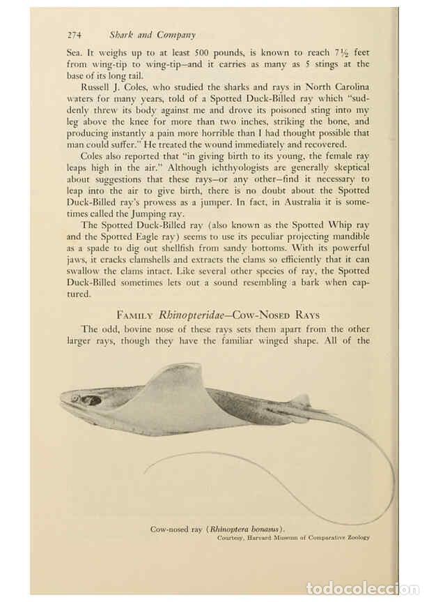 Otros Art&iacute;culos de Coleccionismo en Papel: Reproducci&oacute;n/Reproduction 6001741718: Shadows in the sea Philadelphia,Chilton Books[1963]