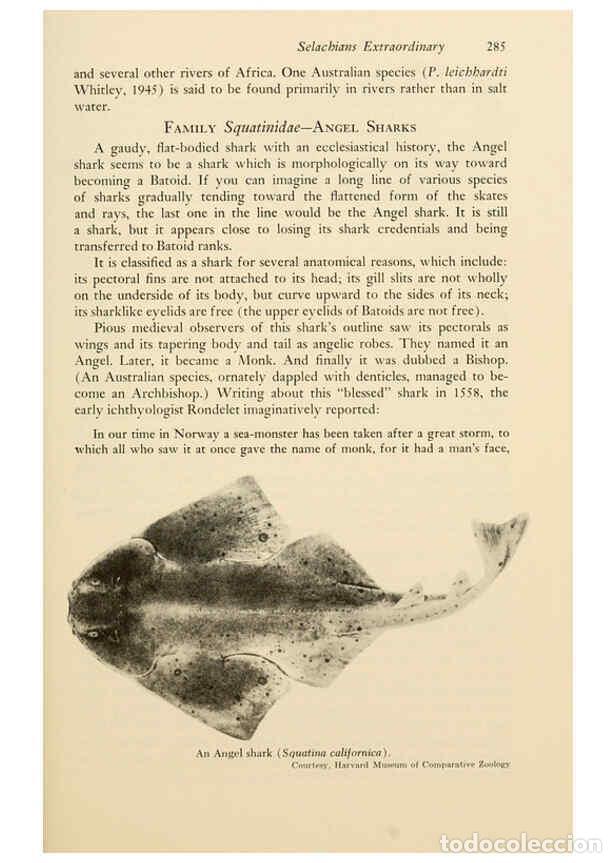 Otros Art&iacute;culos de Coleccionismo en Papel: Reproducci&oacute;n/Reproduction 6001194507: Shadows in the sea Philadelphia,Chilton Books[1963]