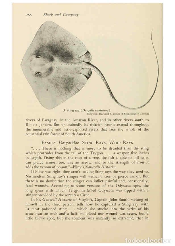 Otros Art&iacute;culos de Coleccionismo en Papel: Reproducci&oacute;n/Reproduction 6001740650: Shadows in the sea Philadelphia,Chilton Books[1963]