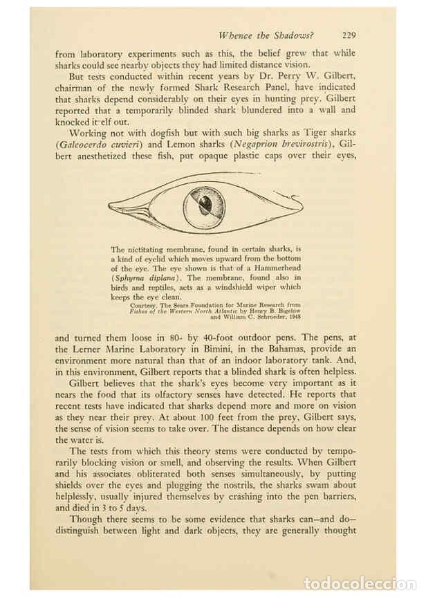 Otros Art&iacute;culos de Coleccionismo en Papel: Reproducci&oacute;n/Reproduction 6001188115: Shadows in the sea Philadelphia,Chilton Books[1963]