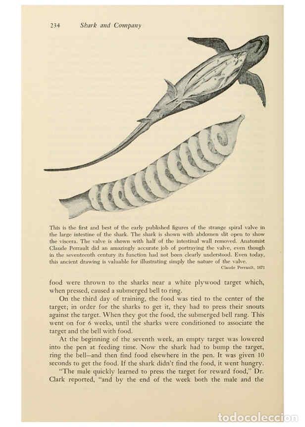 Otros Art&iacute;culos de Coleccionismo en Papel: Reproducci&oacute;n/Reproduction 6001736660: Shadows in the sea Philadelphia,Chilton Books[1963]