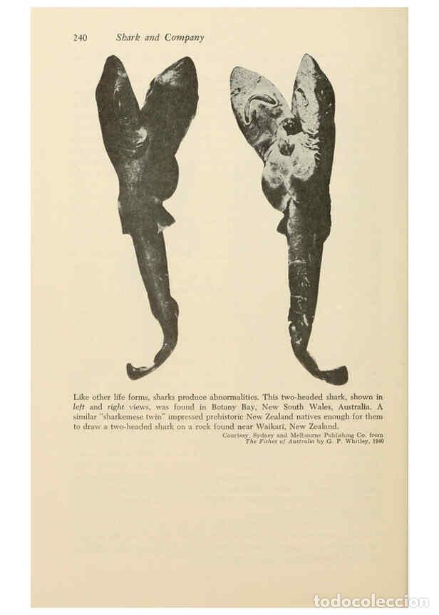 Otros Art&iacute;culos de Coleccionismo en Papel: Reproducci&oacute;n/Reproduction 6001737450: Shadows in the sea Philadelphia,Chilton Books[1963]