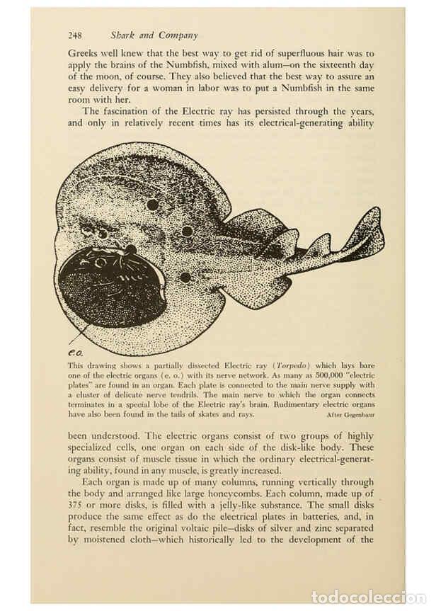 Otros Art&iacute;culos de Coleccionismo en Papel: Reproducci&oacute;n/Reproduction 6001189249: Shadows in the sea Philadelphia,Chilton Books[1963]