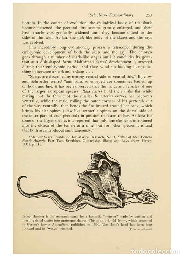 Otros Art&iacute;culos de Coleccionismo en Papel: Reproducci&oacute;n/Reproduction 6001738512: Shadows in the sea Philadelphia,Chilton Books[1963]