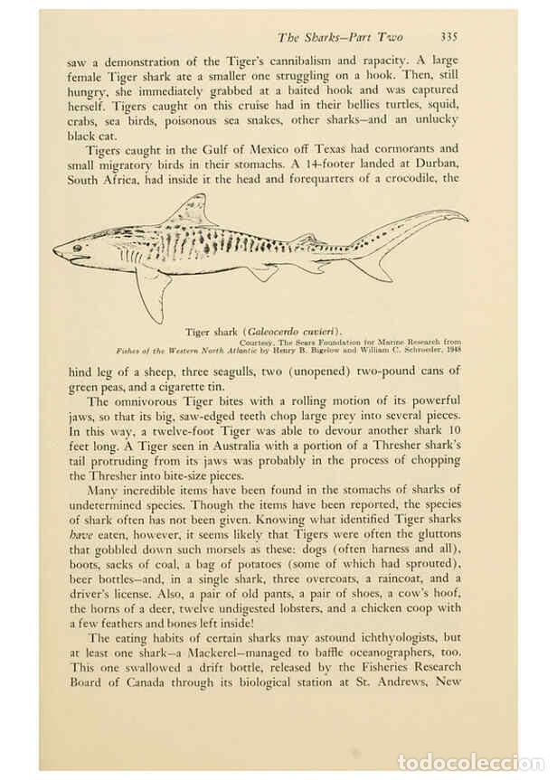 Otros Art&iacute;culos de Coleccionismo en Papel: Reproducci&oacute;n/Reproduction 6001750752: Shadows in the sea Philadelphia,Chilton Books[1963]