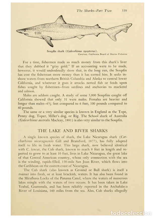 Otros Art&iacute;culos de Coleccionismo en Papel: Reproducci&oacute;n/Reproduction 6001202887: Shadows in the sea Philadelphia,Chilton Books[1963]