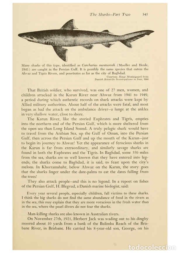 Otros Art&iacute;culos de Coleccionismo en Papel: Reproducci&oacute;n/Reproduction 6001203515: Shadows in the sea Philadelphia,Chilton Books[1963]