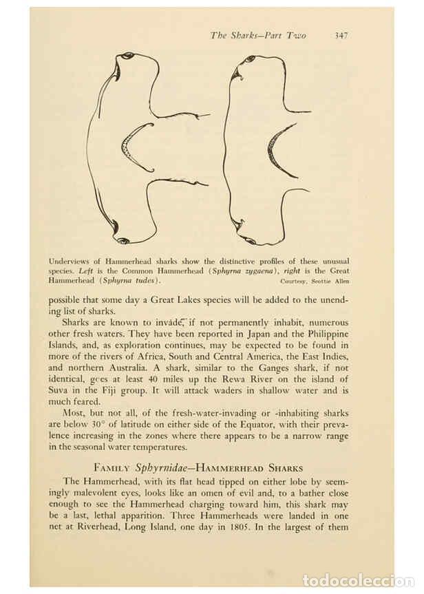 Otros Art&iacute;culos de Coleccionismo en Papel: Reproducci&oacute;n/Reproduction 6001751980: Shadows in the sea Philadelphia,Chilton Books[1963]