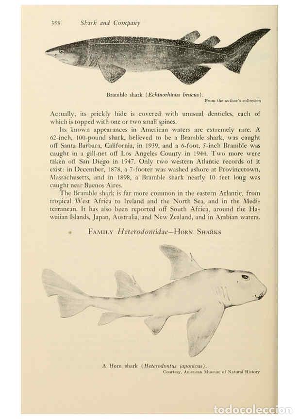 Otros Art&iacute;culos de Coleccionismo en Papel: Reproducci&oacute;n/Reproduction 6001205183: Shadows in the sea Philadelphia,Chilton Books[1963]