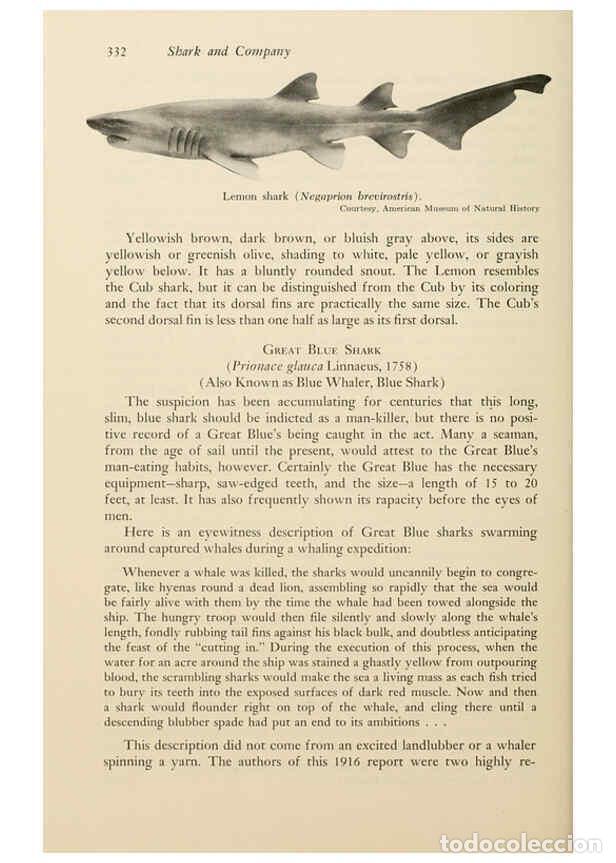 Otros Art&iacute;culos de Coleccionismo en Papel: Reproducci&oacute;n/Reproduction 6001750314: Shadows in the sea Philadelphia,Chilton Books[1963]