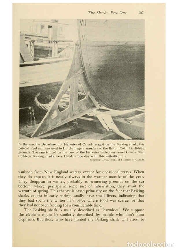 Otros Art&iacute;culos de Coleccionismo en Papel: Reproducci&oacute;n/Reproduction 6001745808: Shadows in the sea Philadelphia,Chilton Books[1963]