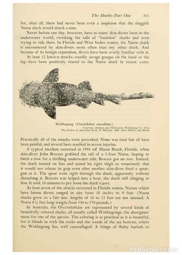 Otros Art&iacute;culos de Coleccionismo en Papel: Reproducci&oacute;n/Reproduction 6001746536: Shadows in the sea Philadelphia,Chilton Books[1963]