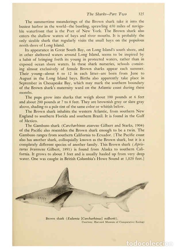 Otros Art&iacute;culos de Coleccionismo en Papel: Reproducci&oacute;n/Reproduction 6001201217: Shadows in the sea Philadelphia,Chilton Books[1963]