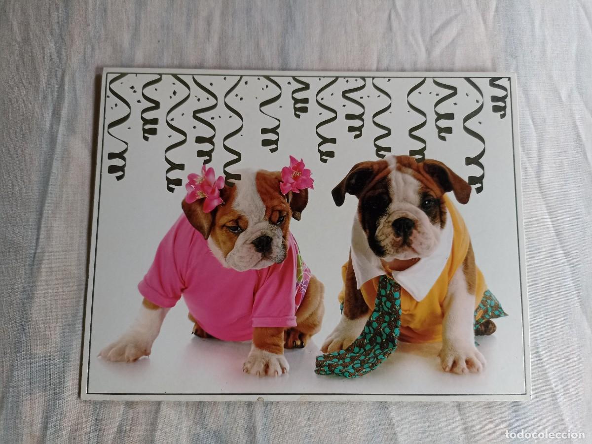 Collectionnisme Papier divers: Tarjeta felicitaci&oacute;n perros