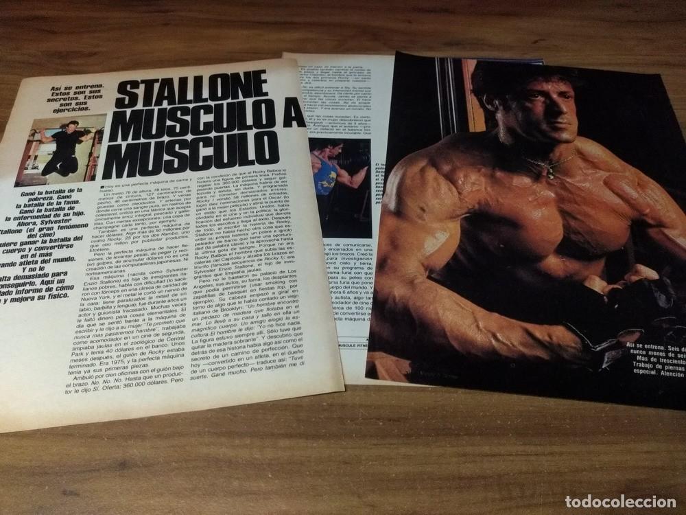 Otros Art&iacute;culos de Coleccionismo en Papel: (A303) Sylvester Stallone * Clippings Revista 3 Pgs * 1986