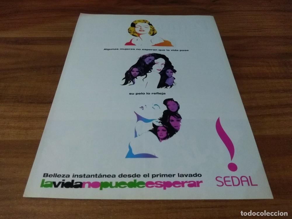 Otros Art&iacute;culos de Coleccionismo en Papel: (PH480) Publicidad Clipping Madonna, Monroe & Morissette * Sedal