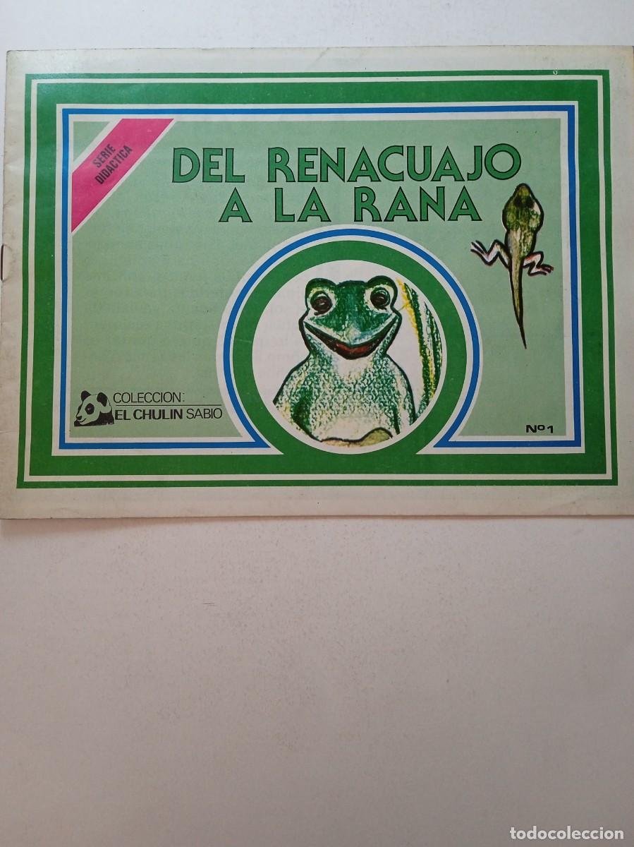 Paper Collecting Others: DEL RENACUAJO A LA RANA - EDICIONES RUIZ FLORES