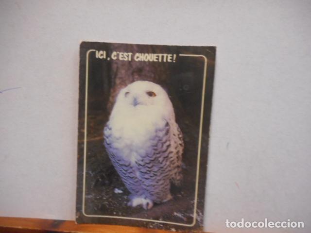 Collectionnisme Papier divers: BONITA POSTAL. BUHO. CIRCULADA
