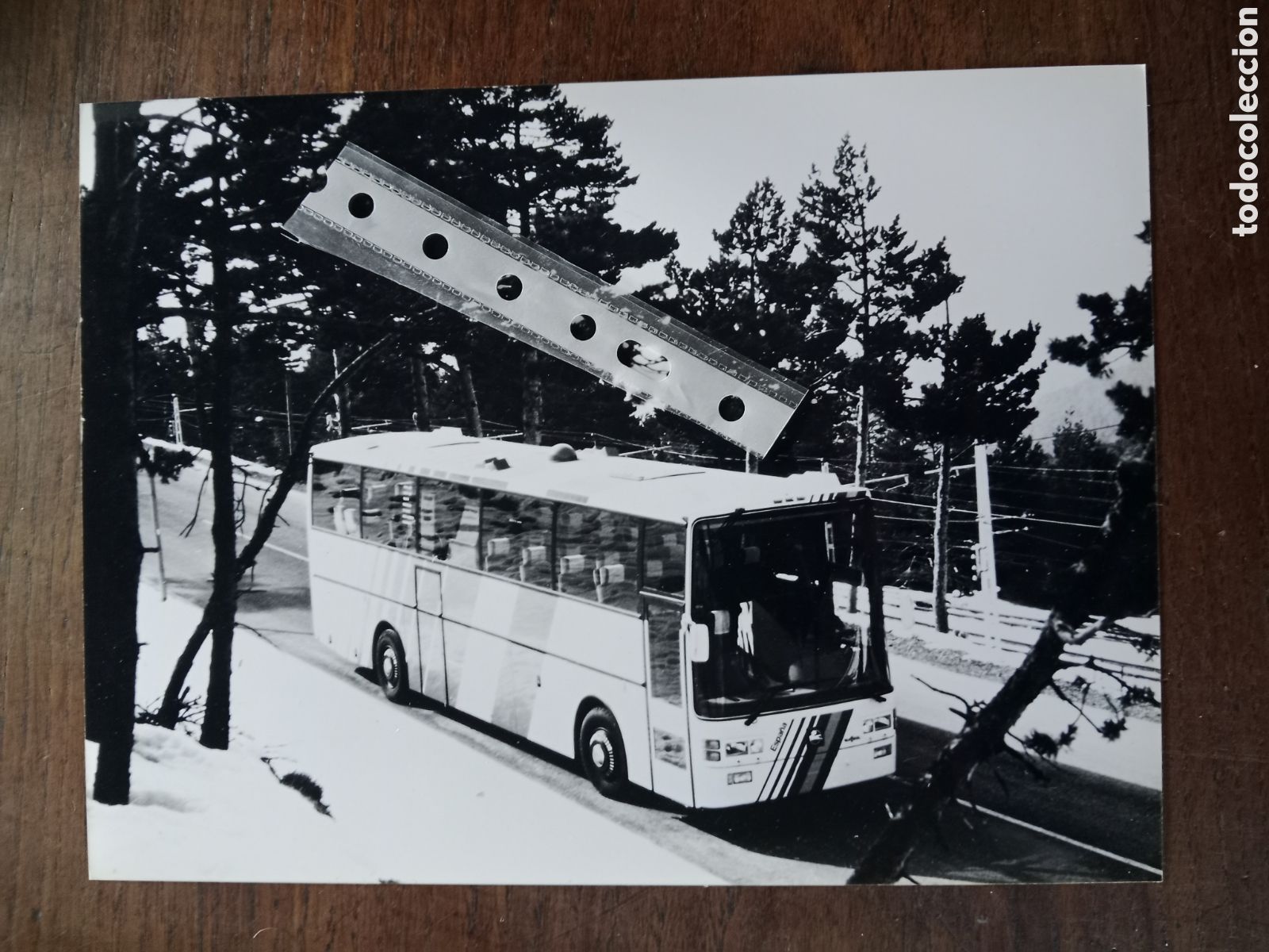 Otros Art&iacute;culos de Coleccionismo en Papel: Fotograf&iacute;a autob&uacute;s autocar Pegaso 6100