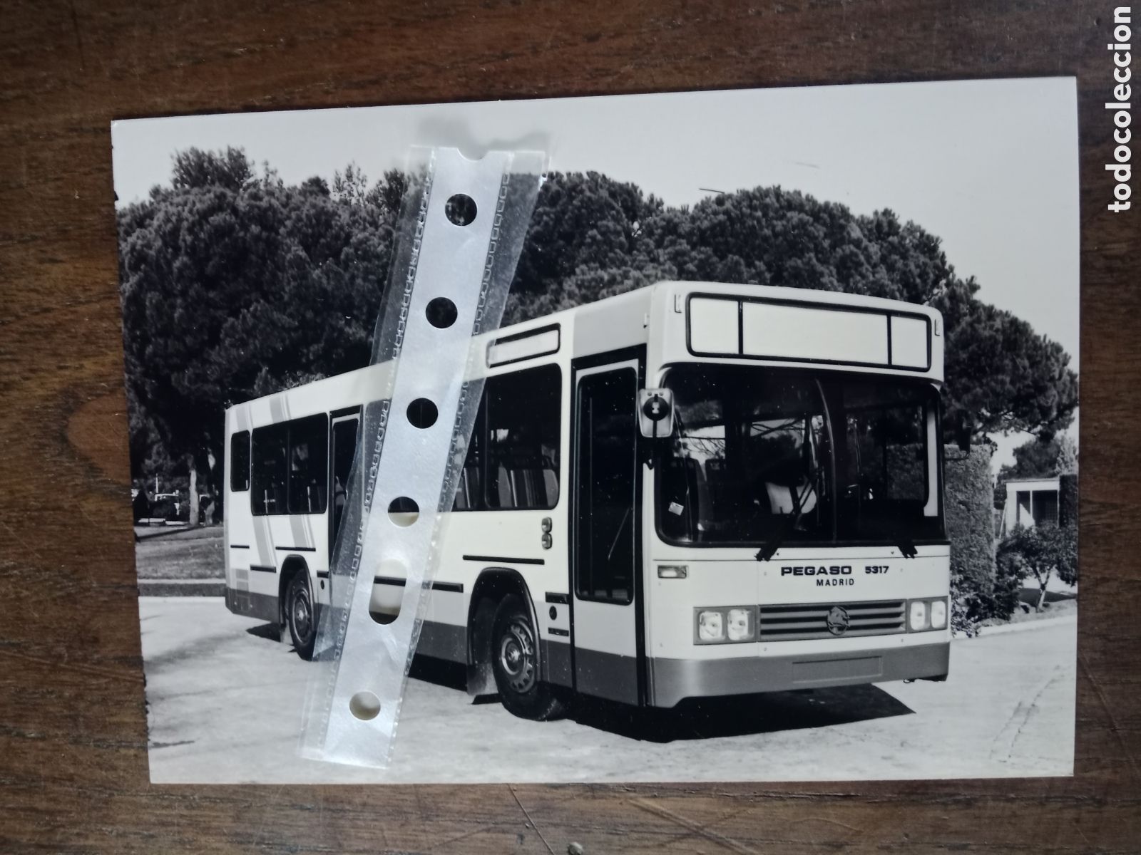 Otros Art&iacute;culos de Coleccionismo en Papel: Fotograf&iacute;a autob&uacute;s autocar Pegaso