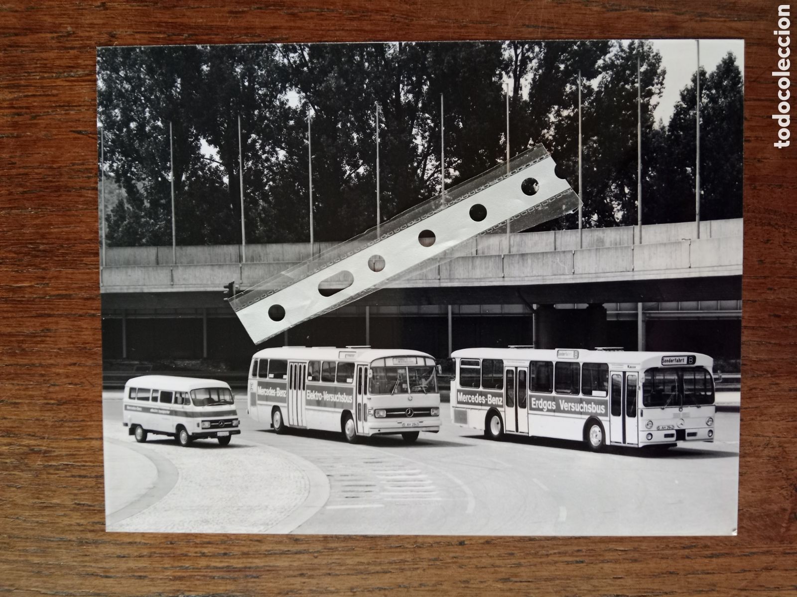 Collectionnisme Papier divers: Fotograf&iacute;a autob&uacute;s autocar mercedes Benz