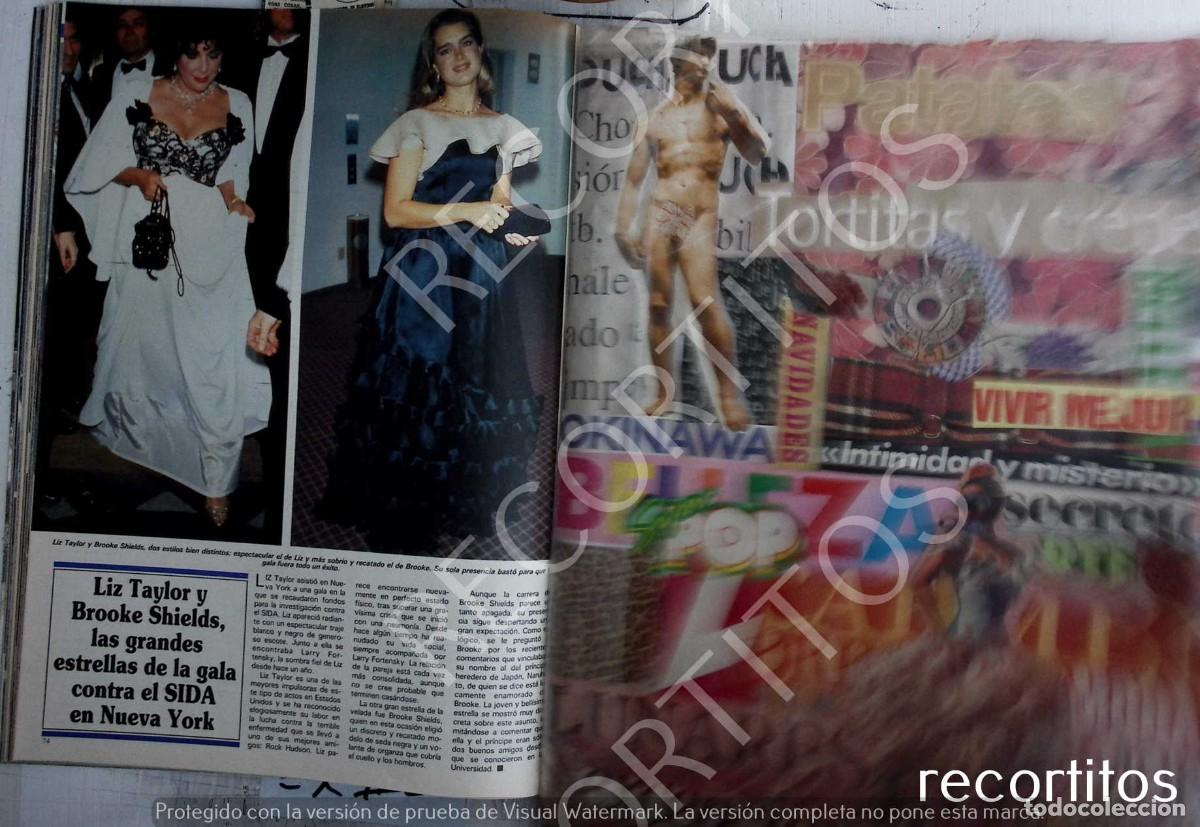 Outros artigos de papel: ELIZABETH TAYLOR LIZ brooke shields