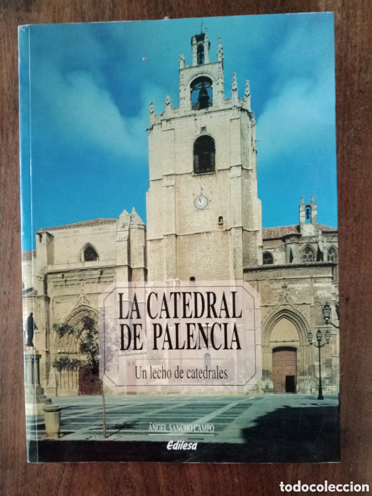 Paper Collecting Others: Libro catedral de Palencia