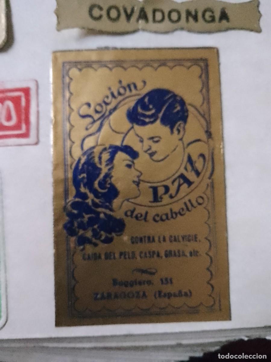 Otros Art&iacute;culos de Coleccionismo en Papel: Etiqueta de una vieja imprenta paz del cabello, Zaragoza