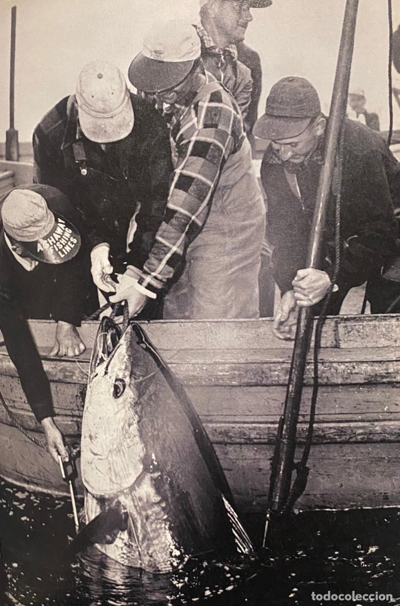 Sammelleidenschaft Andere Papierartikel: Fotograf&iacute;a antigua de varios hombres pescando un at&uacute;n. P&aacute;gina completa de revista. Enmarcable. Nueva