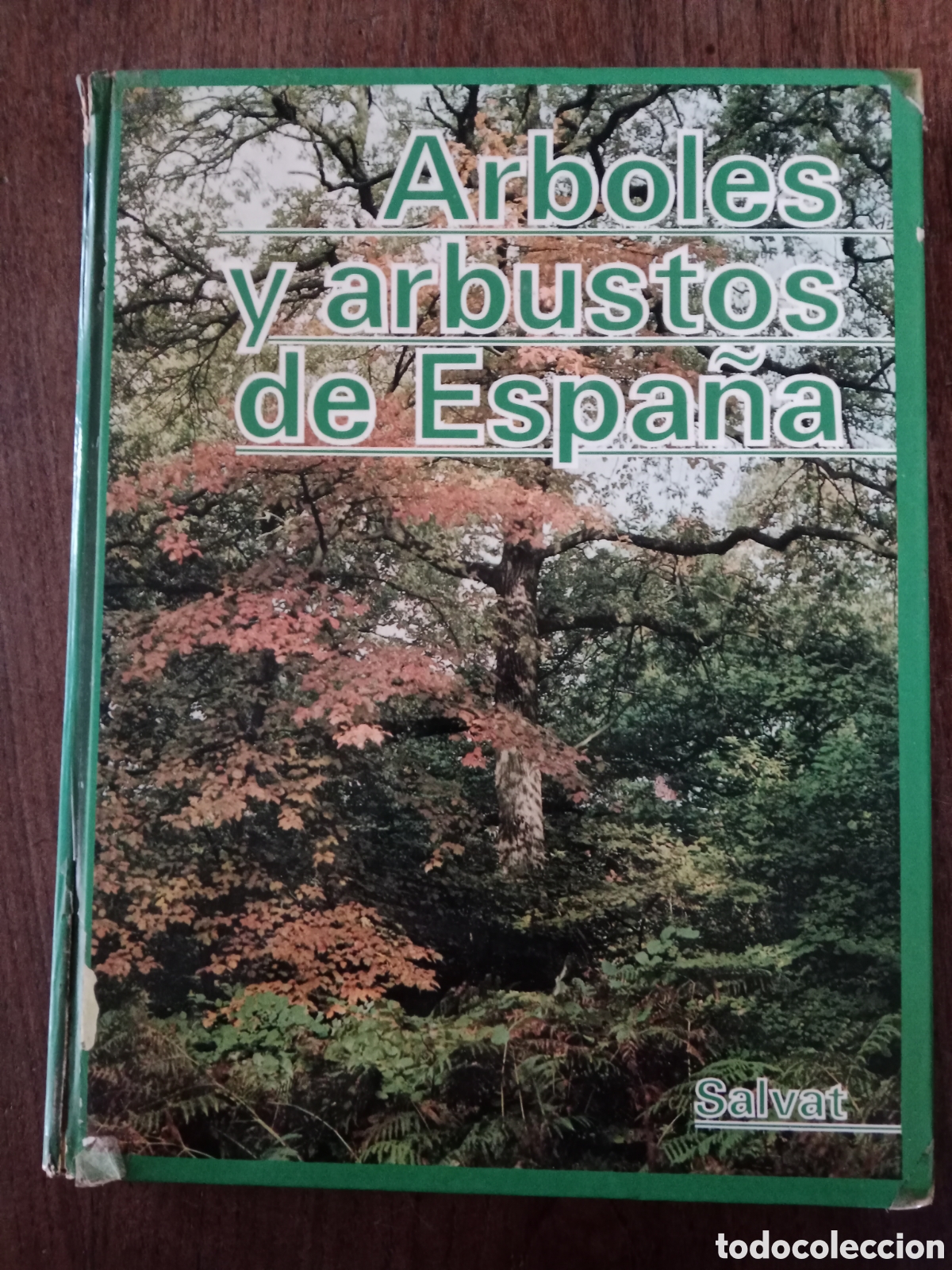 Paper Collecting Others: Libro &aacute;rboles y arbustos de Espa&ntilde;a Salvat