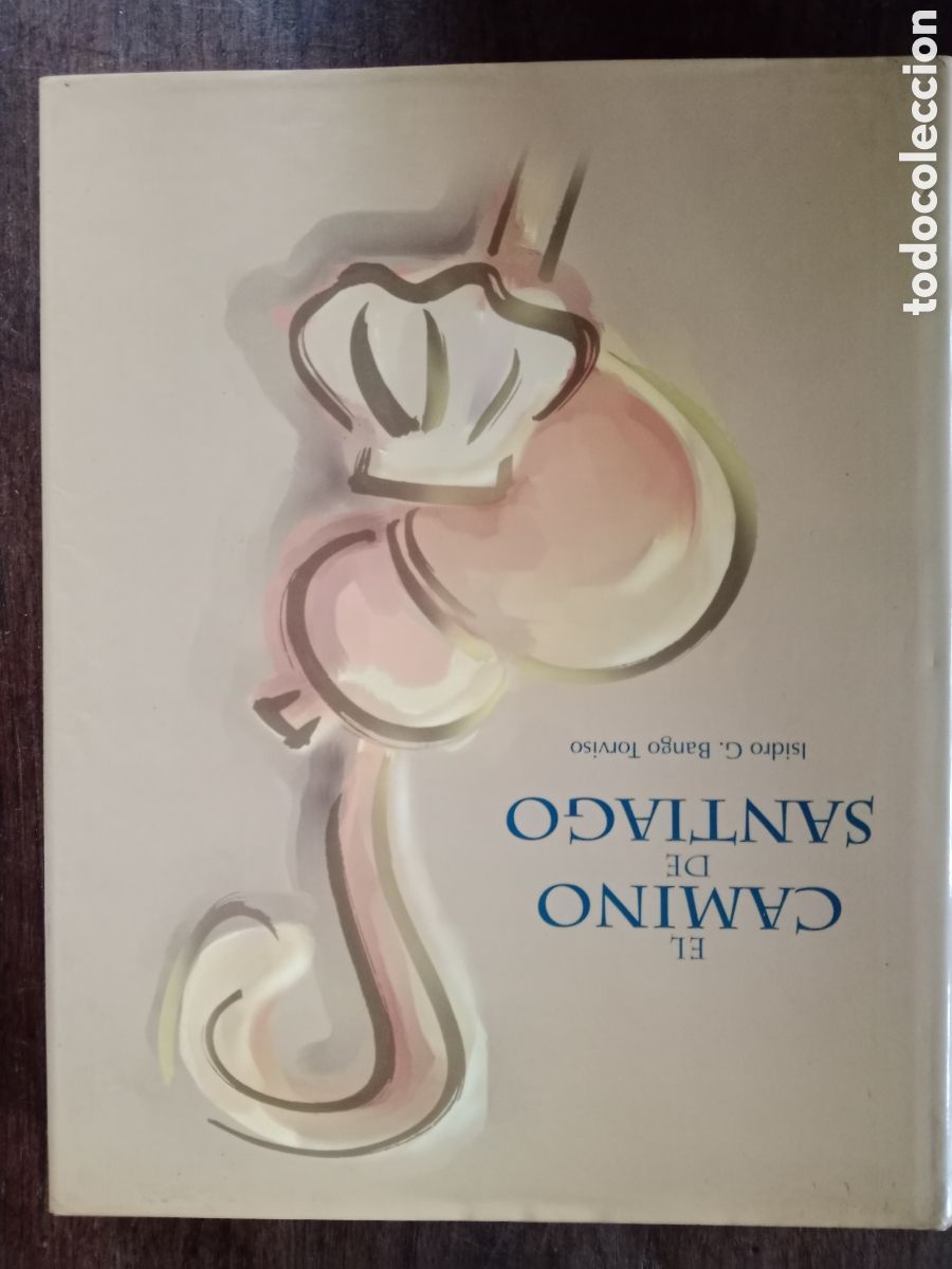 Paper Collecting Others: Libro el camino de santiago