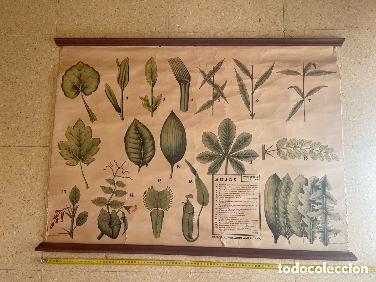 Otros art&iacute;culos de coleccionismo en papel: HOJAS POSTER EDITORIAL VALLARDI AMERICANA