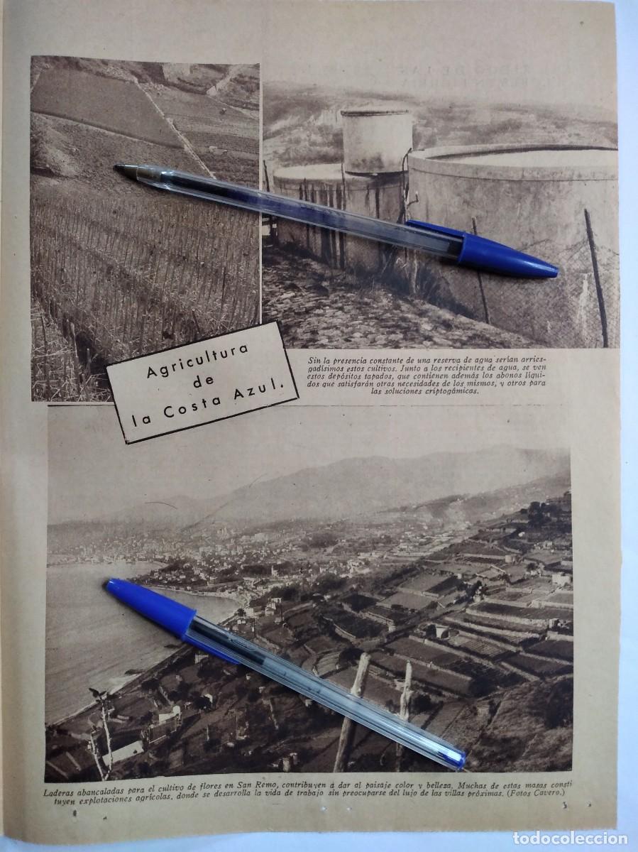 Collectionnisme Papier divers: COSTA AZUL AGRICULTURA SAN REMO CULTIVO FLORES DEP&Oacute;SITOS AGUA HOJA DE PRENSA A&Ntilde;O 1936